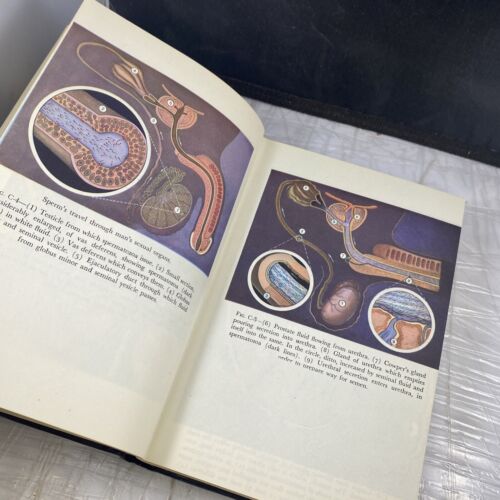 1959 The Illustrated Encyclopedia of Sex By Drs Willy Vander & Fisher Hardcover