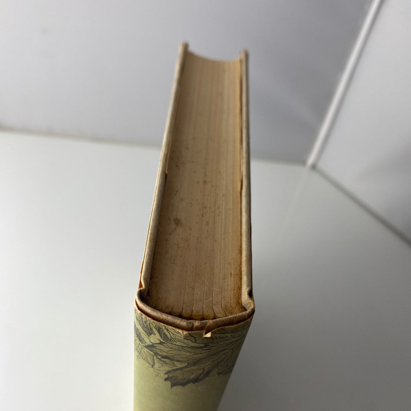 To Remember Forever Gladys Hasty Carroll 1963 First Edition Memoir Little Brown