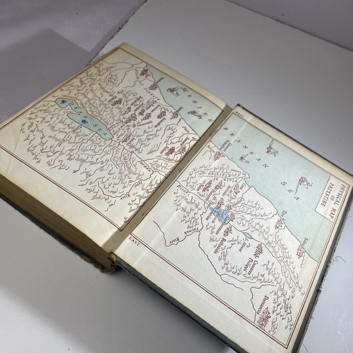 1931 Bible History New Testament For Catholic School Johnson Hannan Sr. Dominica