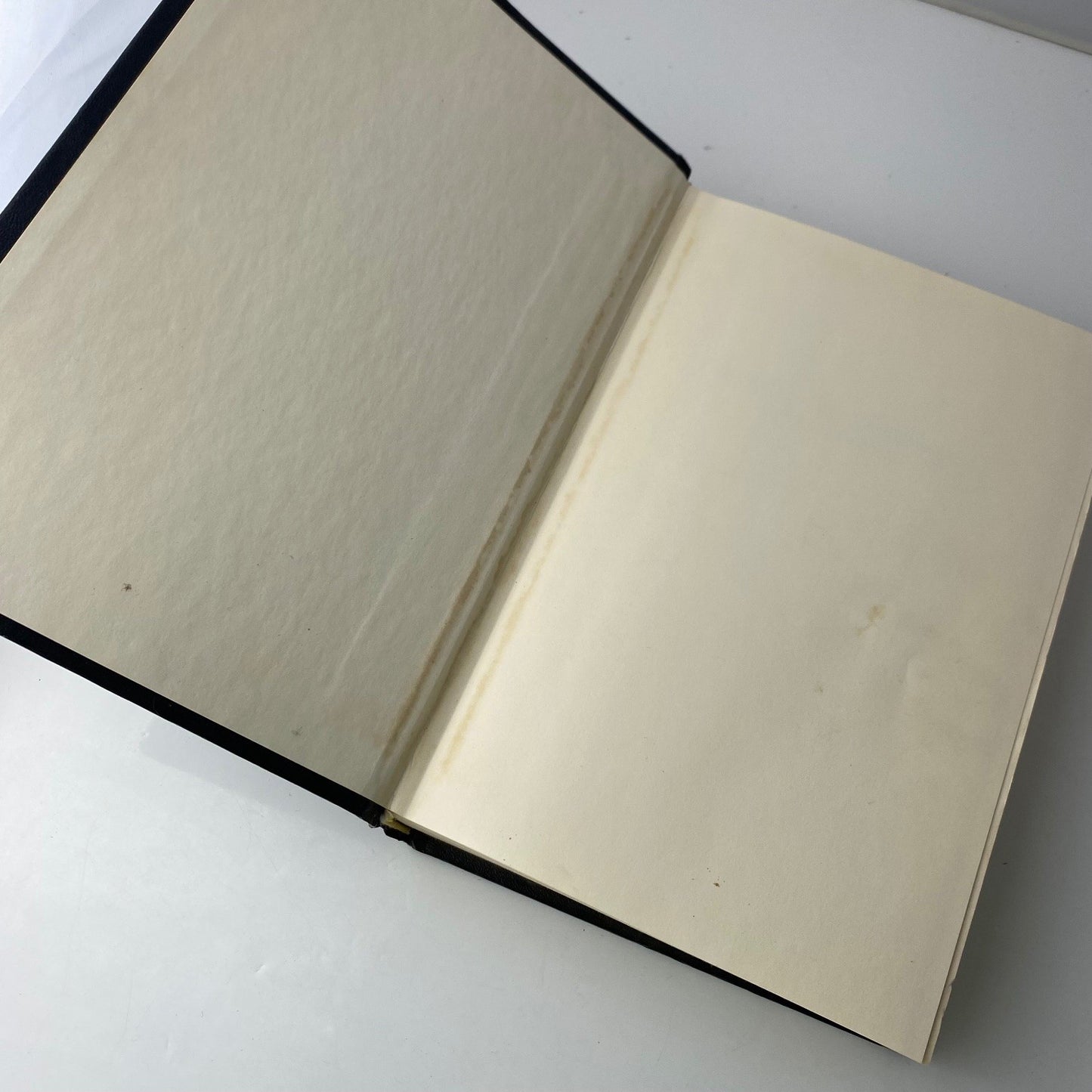 Modern Woman's Medical Encyclopedia Fishbein 1966 Illustrated Doubleday