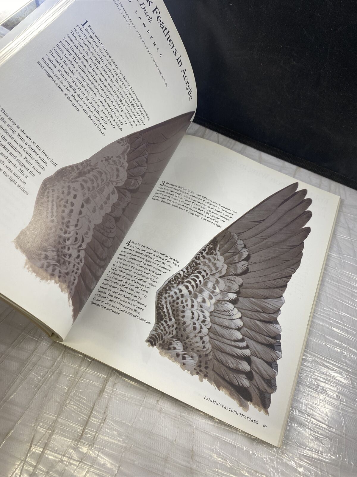 Keys to Painting - Fur & Feathers Vintage Art Book Guide Rachel Rubin Wolf