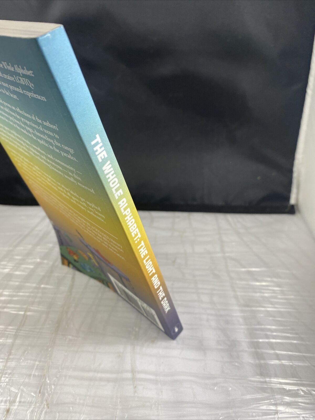 The Whole Alphabet : The Light and the Dark Paperback Rare LGBTQIA Gay Authors