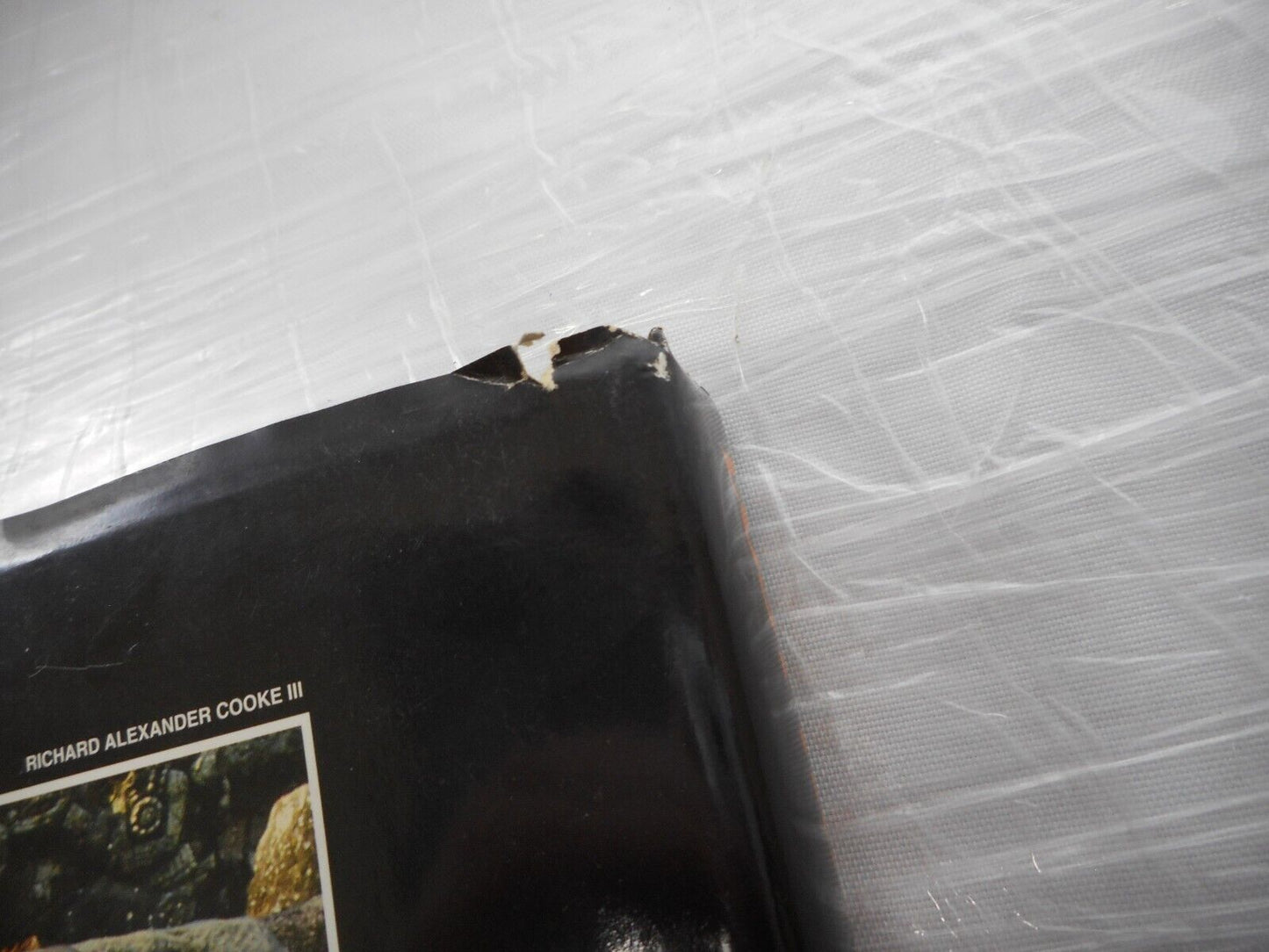 Lost Kingdoms of the Maya by George Stuart and Gene Stuart (1993, Hardcover) Pic