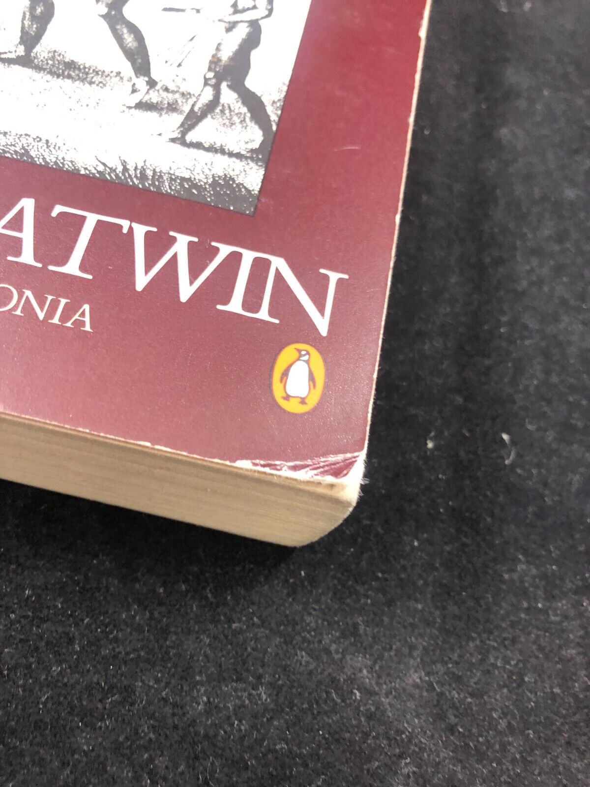The Songlines by Chatwin, Bruce penguin paperback