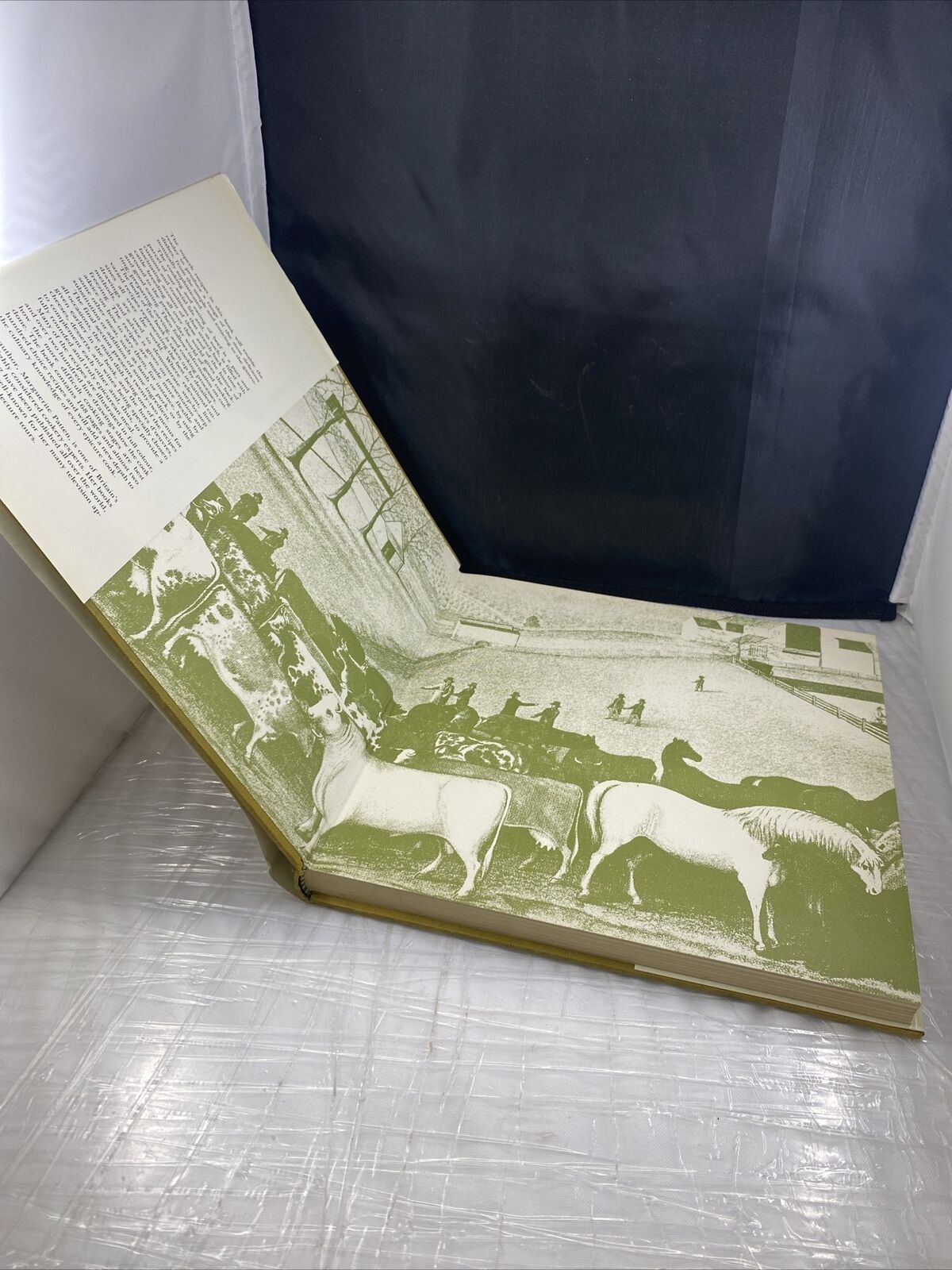 The Epicure's Book of Steak and Beef Dishes Cooking & Eating of Beef