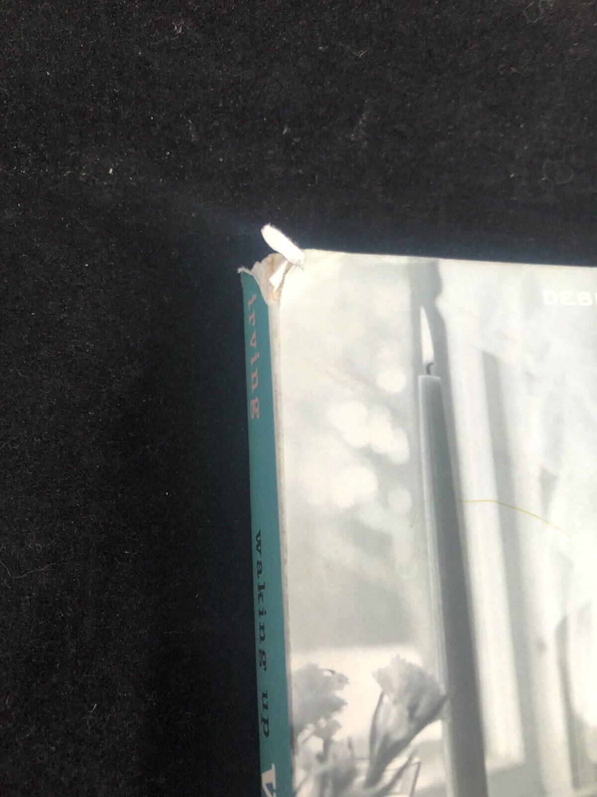 Waking Up White, and Finding Myself in the Story of Race by Debby Irving SIGNED
