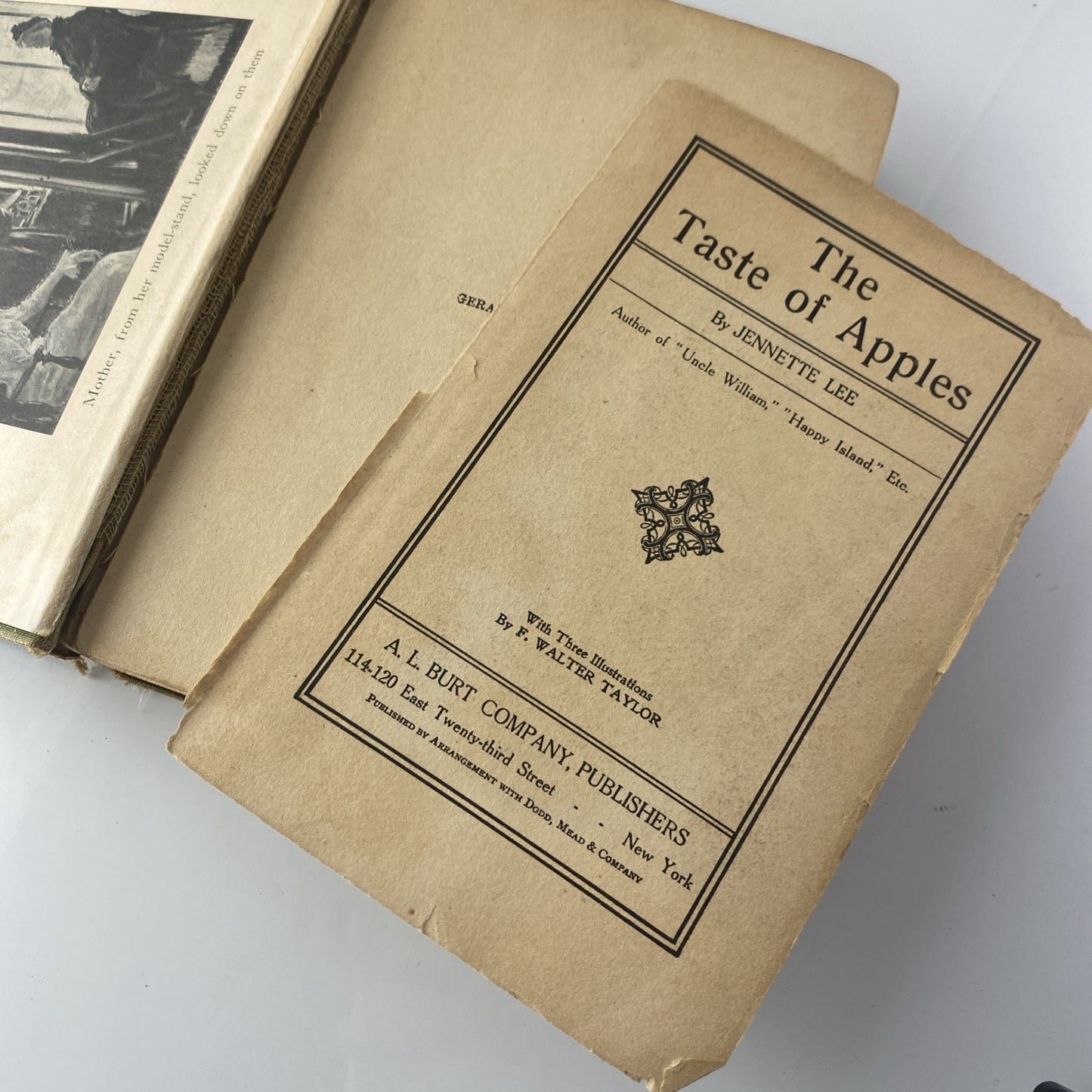 The Taste of Apples (Hardcover) 1913 by Jennette Lee See Pics Antique Novel