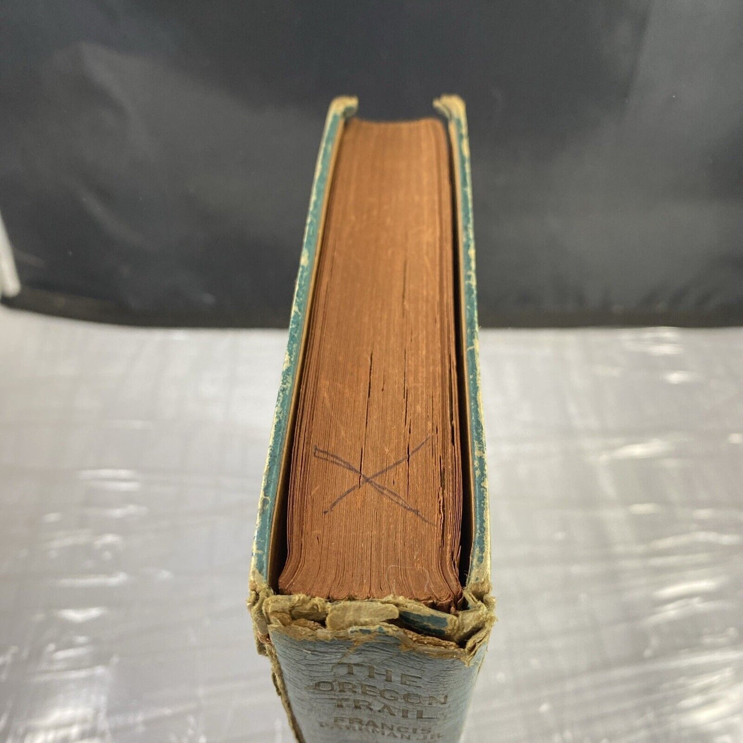 The Oregon Trail Francis Parkman JR Art-type Edition RARE Blue Leather Antique