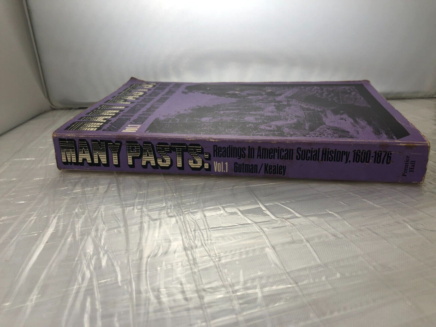 MANY PASTS: READINGS IN AMERICAN SOCIAL HISTORY, By Herbert G. Gutman & Gregory