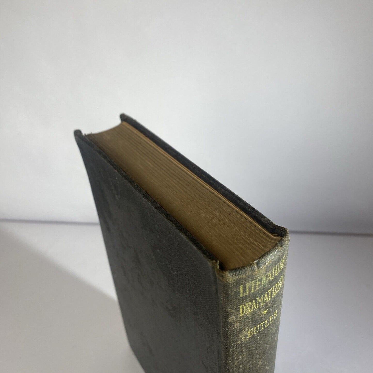 Literature Dramatized (Mildred Allen Butler, 1926 Hardcover) No Dust Jacket