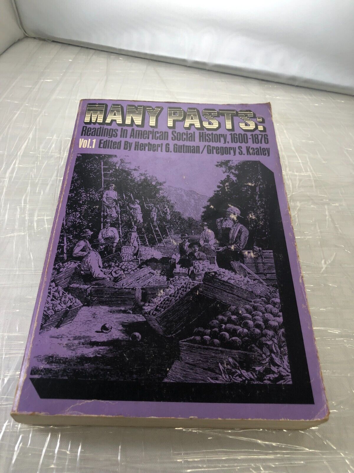 MANY PASTS: READINGS IN AMERICAN SOCIAL HISTORY, By Herbert G. Gutman & Gregory