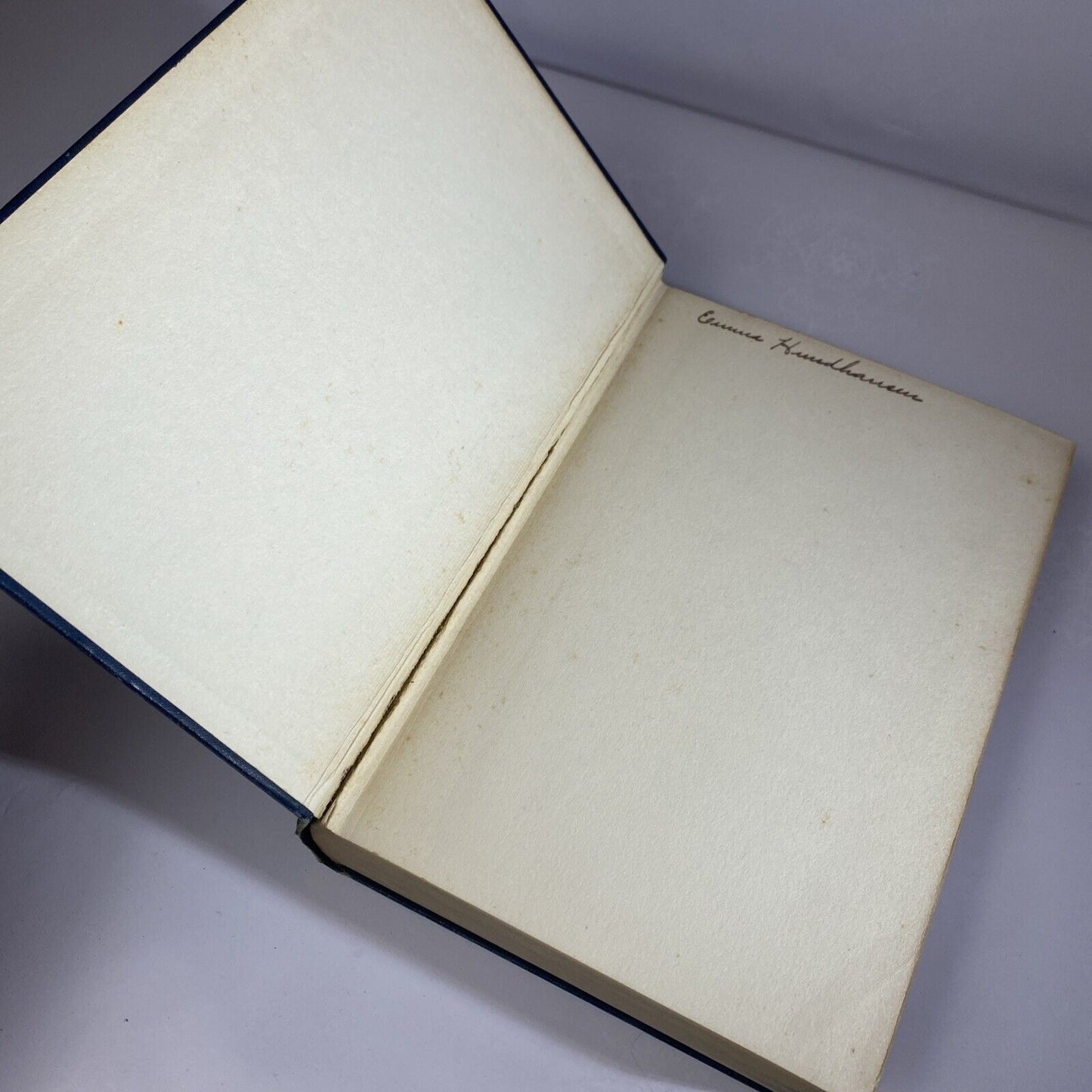 Brooke TENNYSON HIS ART AND RELATION TO MODERN LIFE Rare Antique Literature 1894