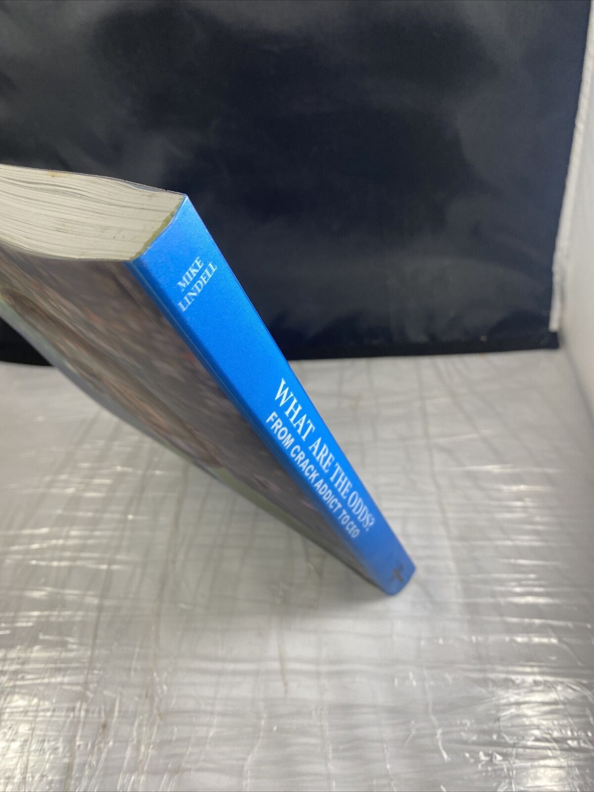 What Are The Odds? From Crack Addict To CEO - Hardcover By Mike Lindell - GOOD