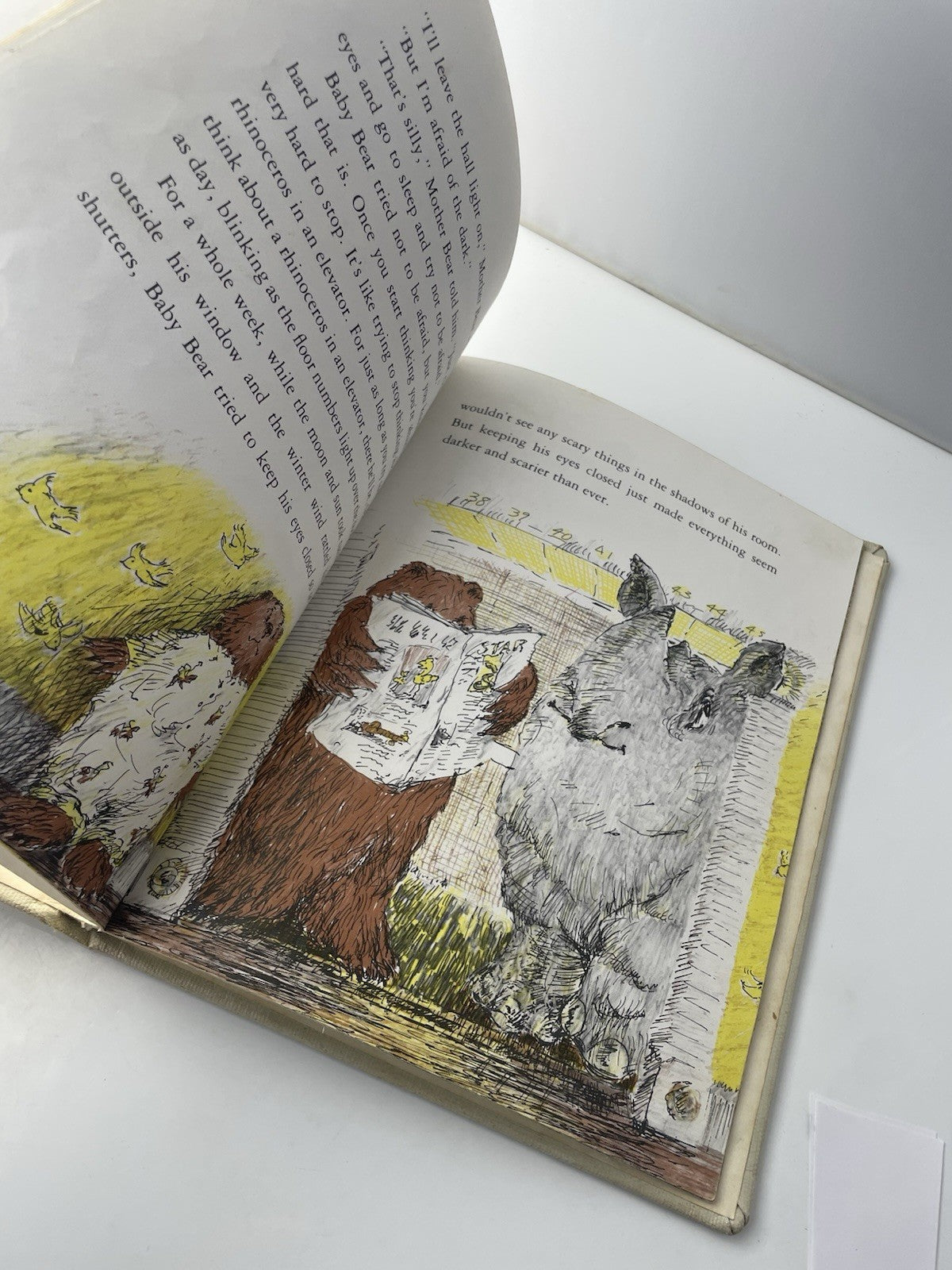 baby bear and the long sleep book, by andrew ward, 1980 Hardcover