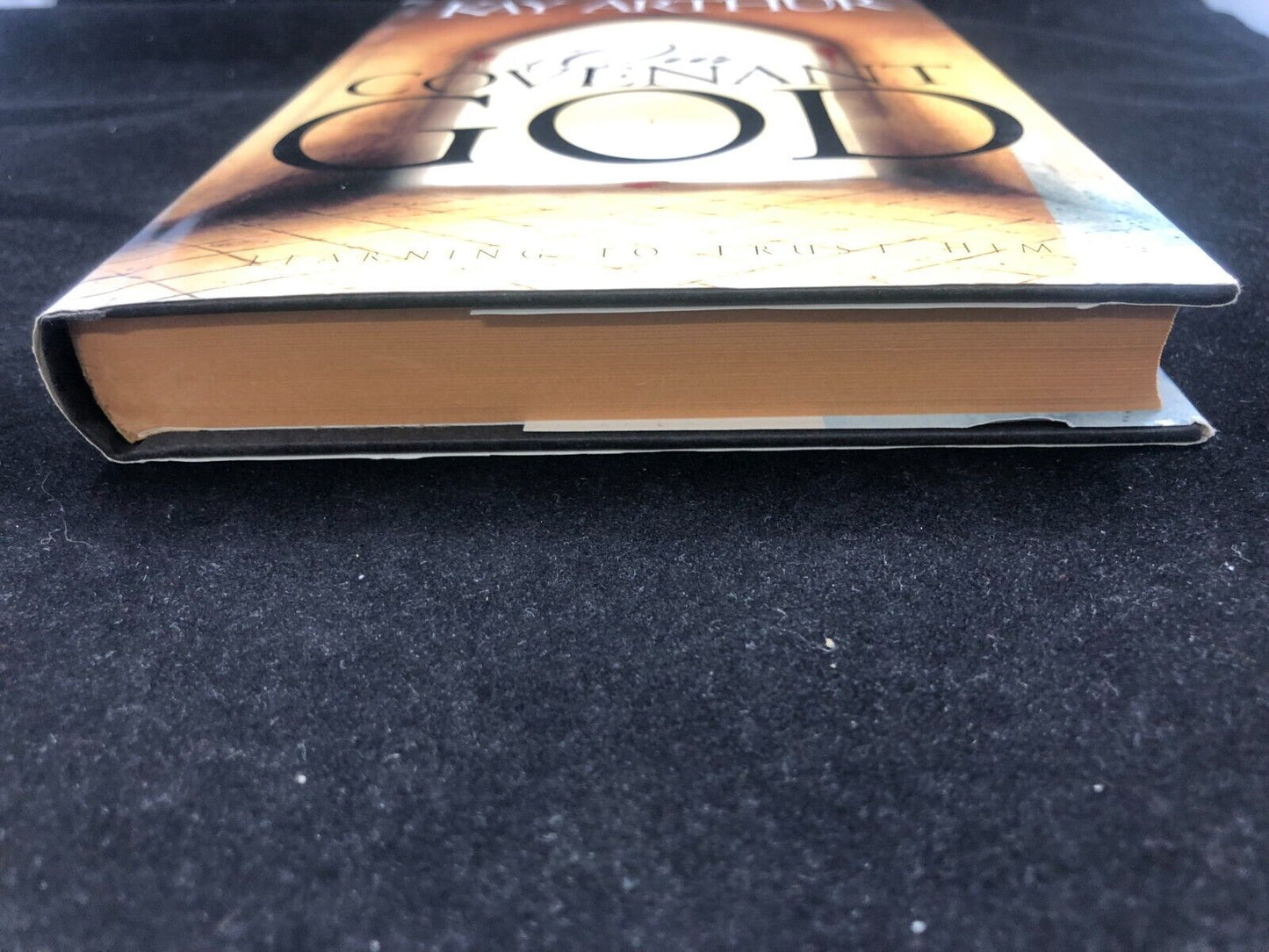 Our Covenant God : Learning to Trust Him by Kay Arthur (1999, Hardcover)