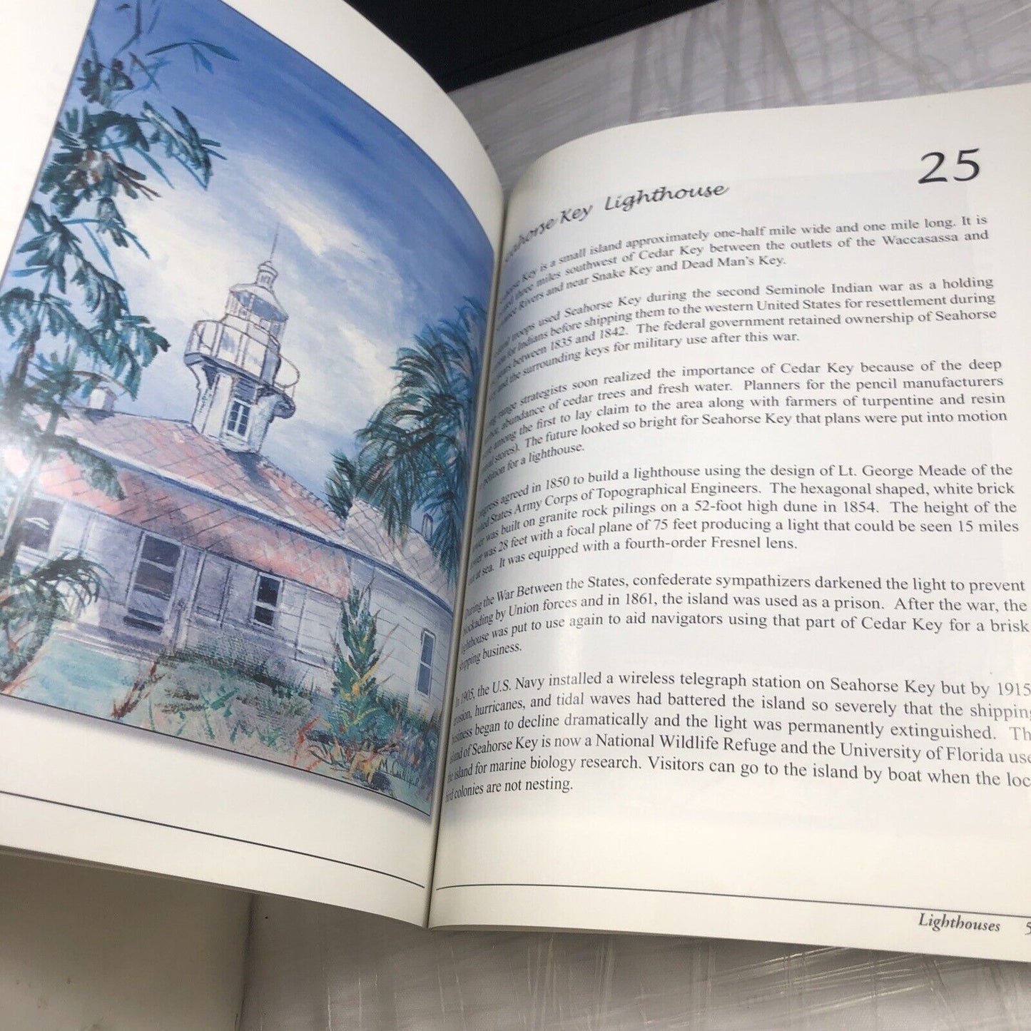 Rare Paperback Lighthouses Along Florida’s Coastline Signed By Author!! 2005