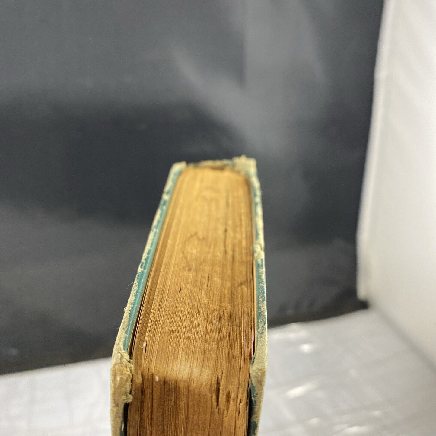 The Oregon Trail Francis Parkman JR Art-type Edition RARE Blue Leather Antique