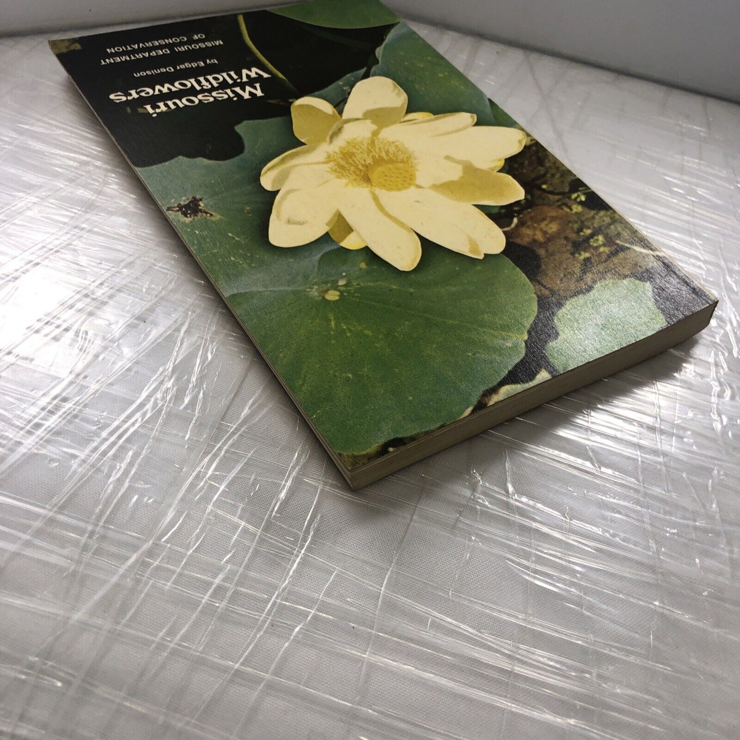 MISSOURI FLOWERS By Edgar Denison ~ 1972 Trade Paperback Flower Identification