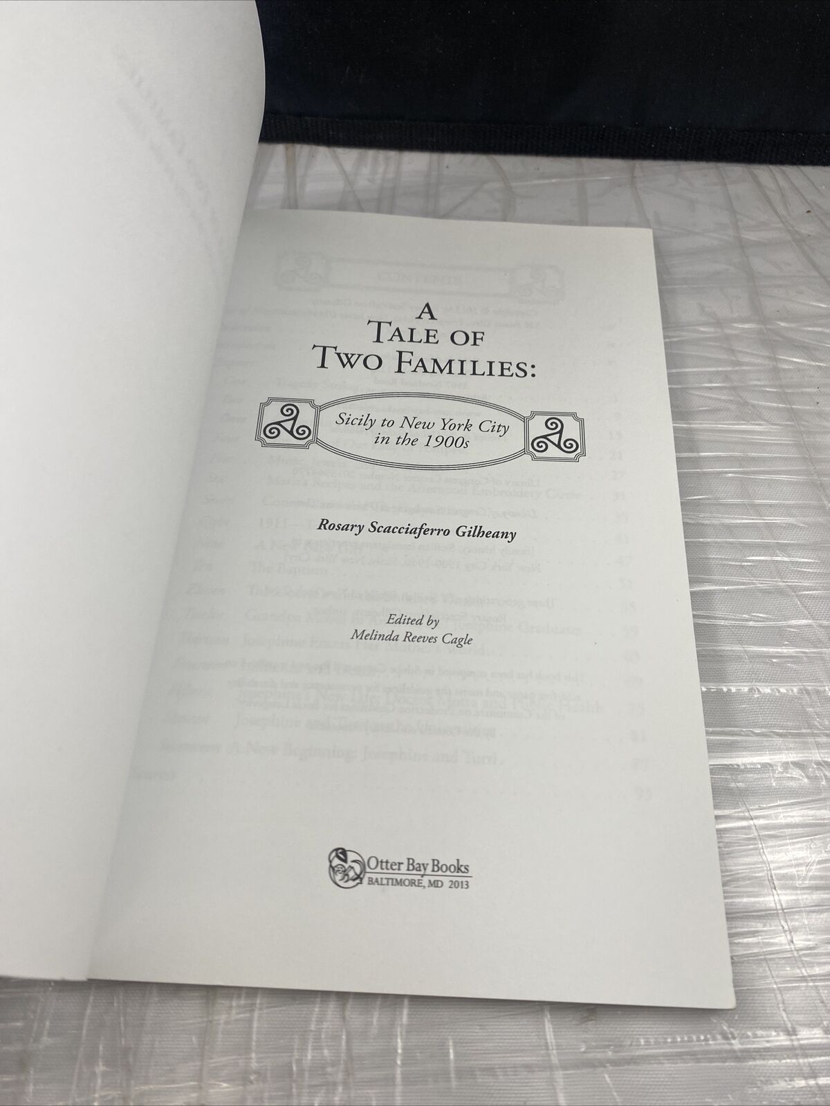 Tale of Two Families, Sicily to NYC in the 1900's, Historical Fiction, 2013, PB