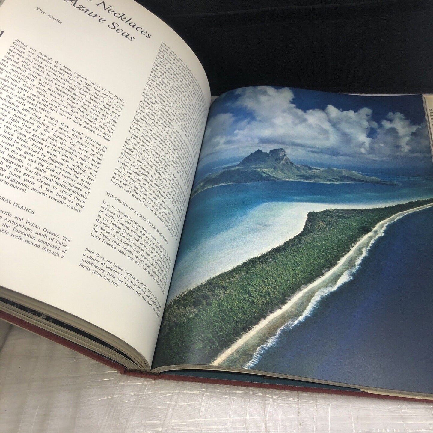 Australia and the Pacific Islands: A natural history (Continents we live On) HC