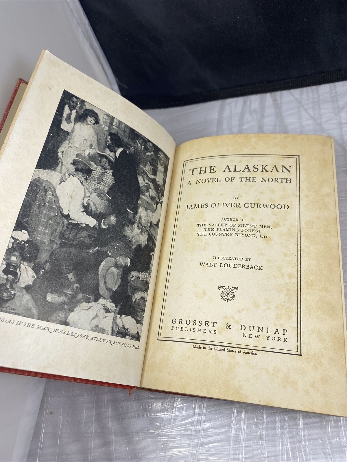 The Alaskan James Oliver Curwood 1923 Hardcover Dust Jacket See Pics