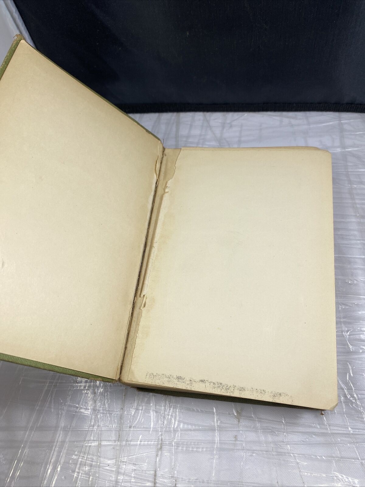 Children's Book The Bobbsey Twins By Laura Lee Hope 1904 Good Condition