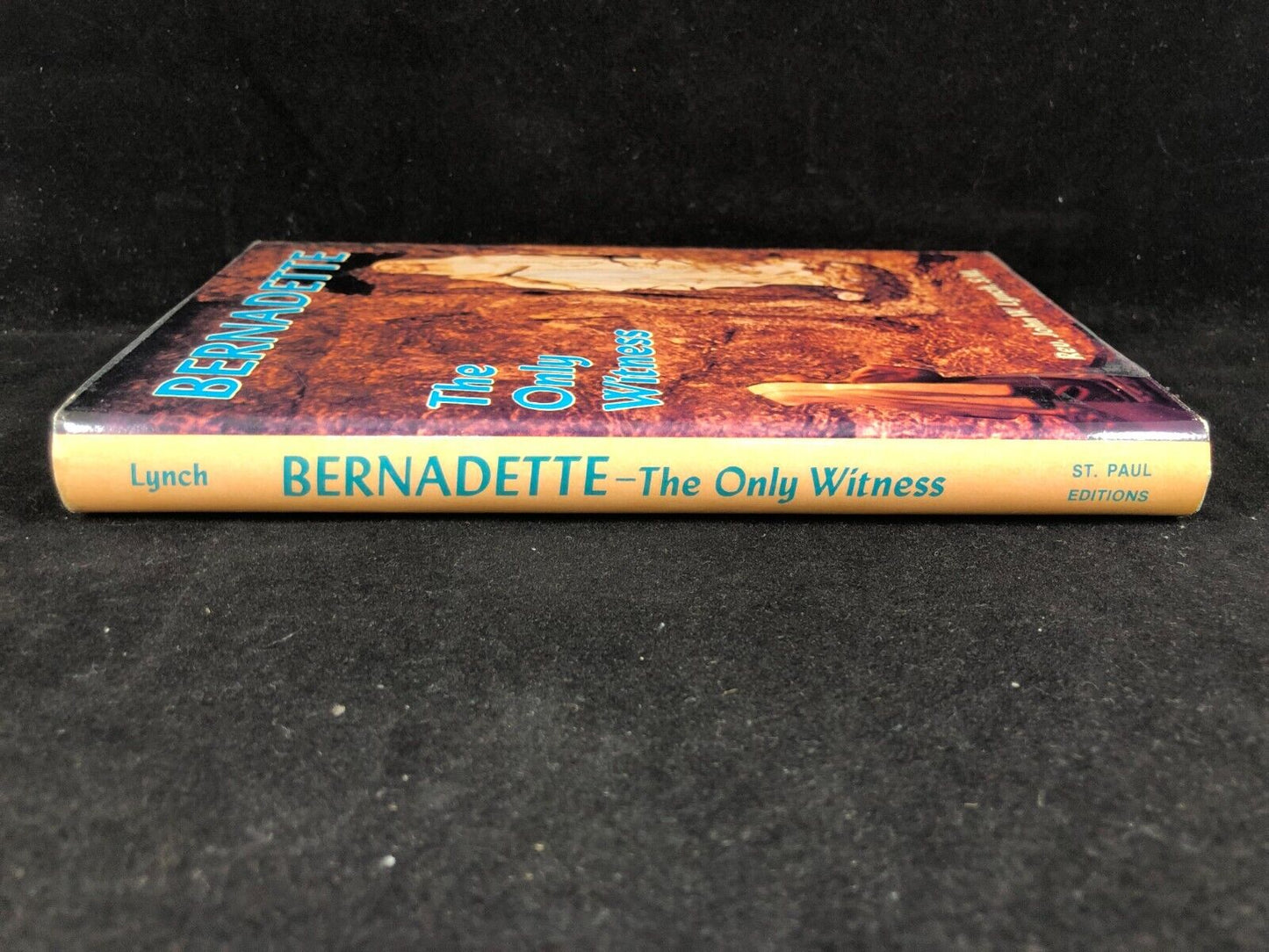 Bernadette The Only Witness Rev John Lynch Overcome Suffering on Earth Happiness