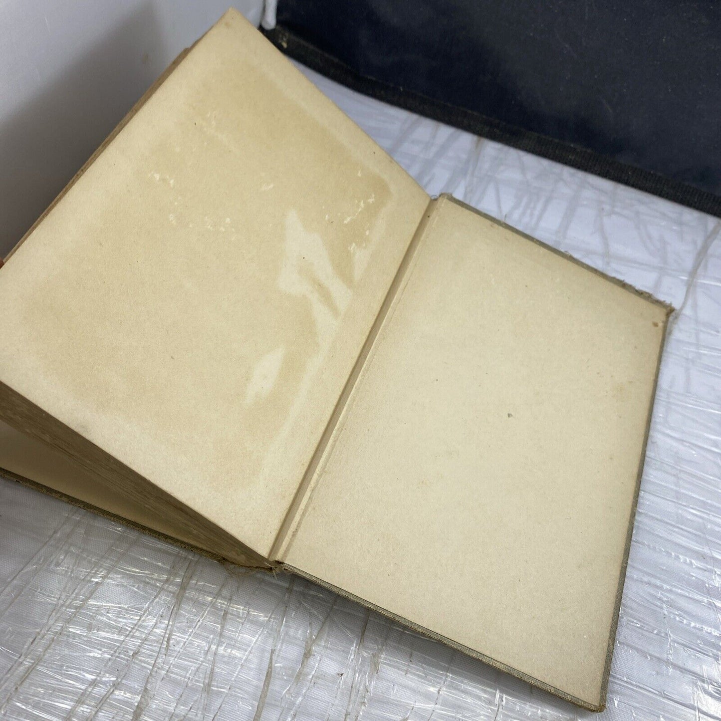 Carolyn Wells MARJORIE AT SEACOTE 1912 Rare First Edition Antique Worn Book