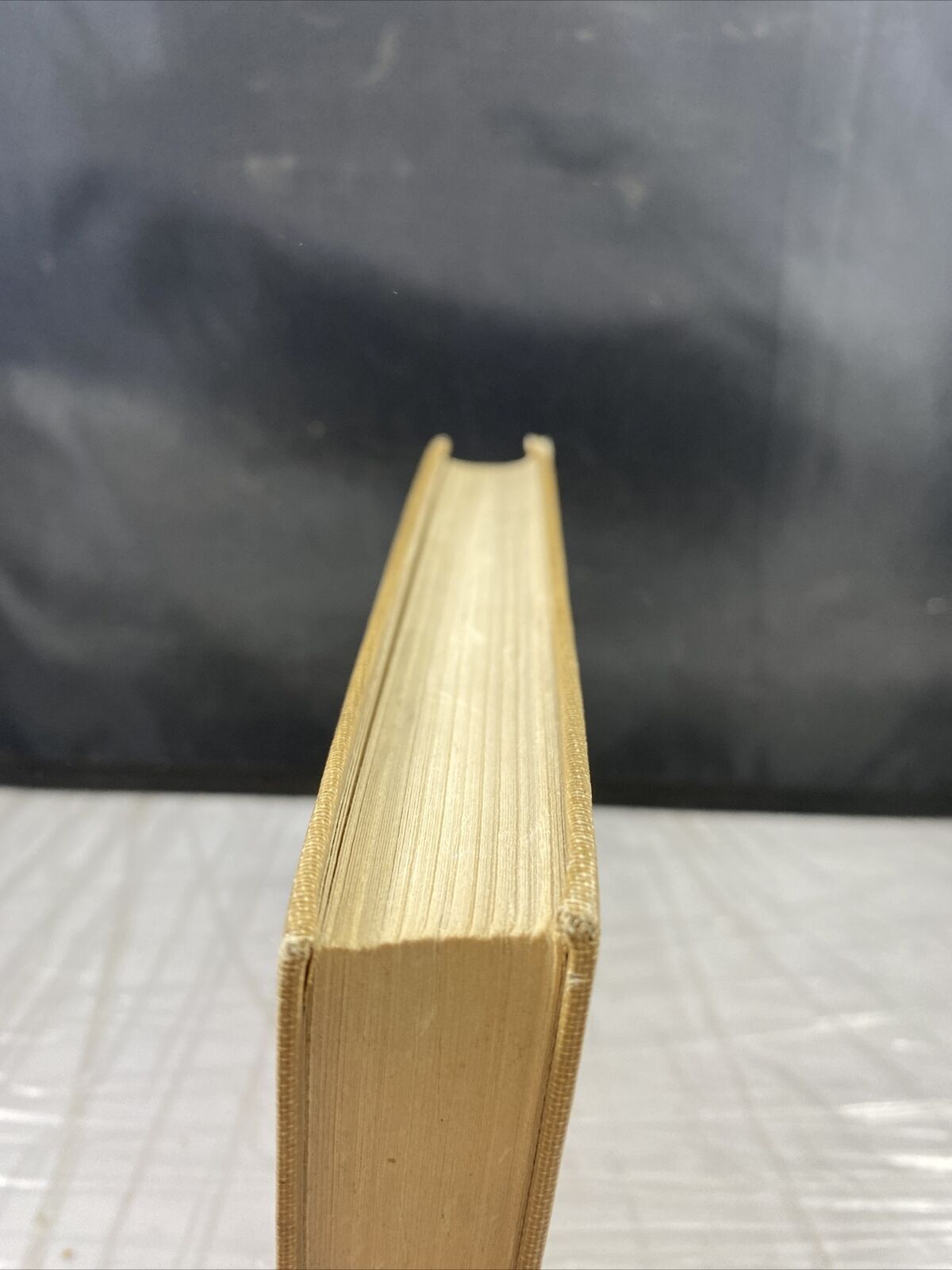 The Rejected Apostle 1924 Christian Bible Short Stories Rare Antique Vincentian