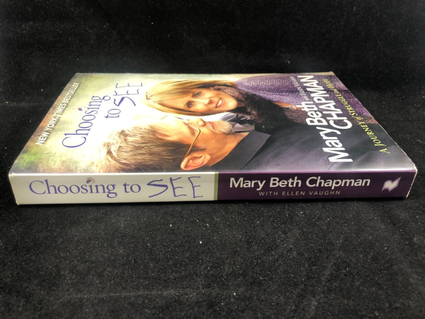 Choosing to SEE: A Journey of Struggle and Hope , Chapman, Mary Beth