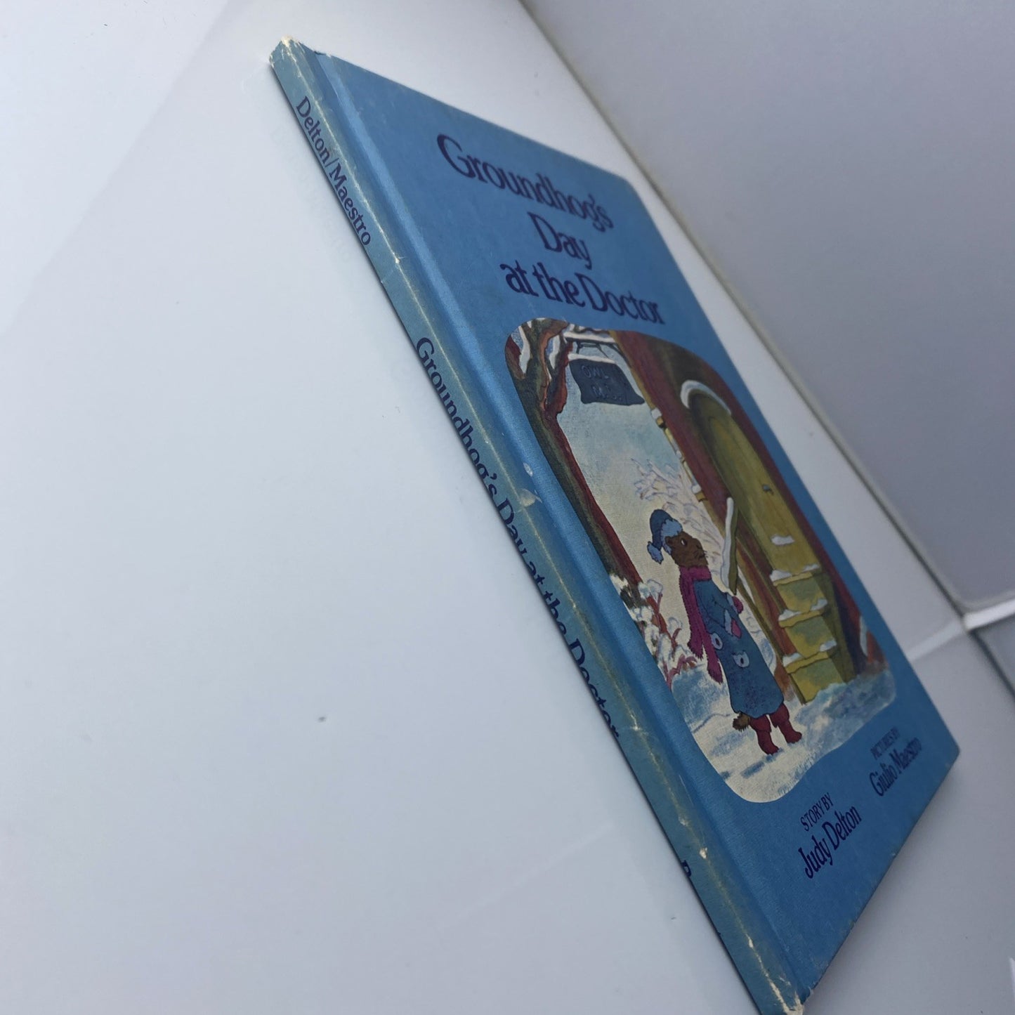 Vintage Kids Picture Book 1st Print Groundhog’s Day At The Doctor By Judy Delton