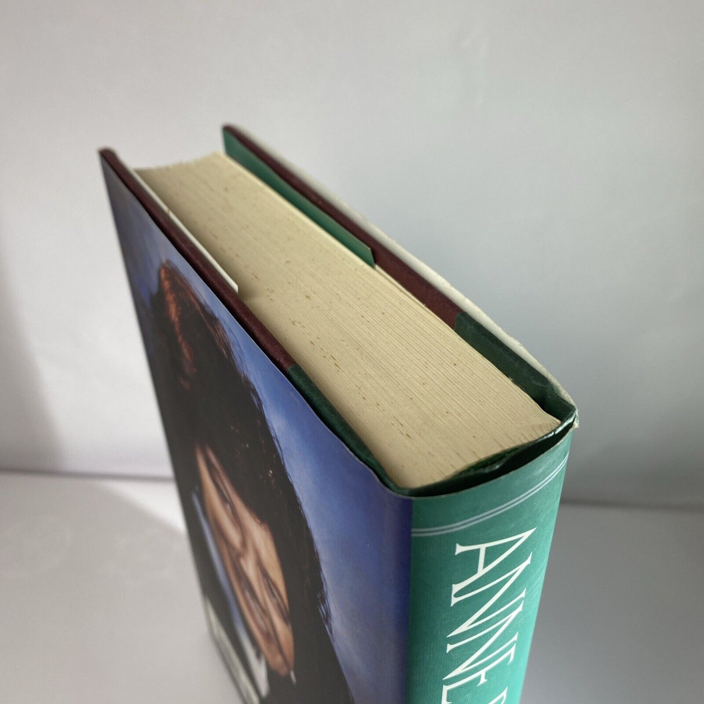 Brunswick Gardens - Perry, Anne - Hardcover Very Good 1st Print Fiction Novel