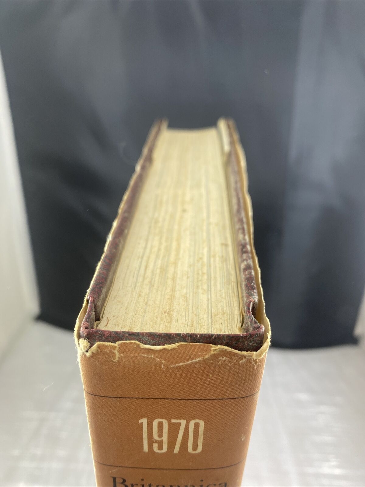 Encyclopedia Britannica Book Of The Year 1970 Vintage 70s History Illustrated