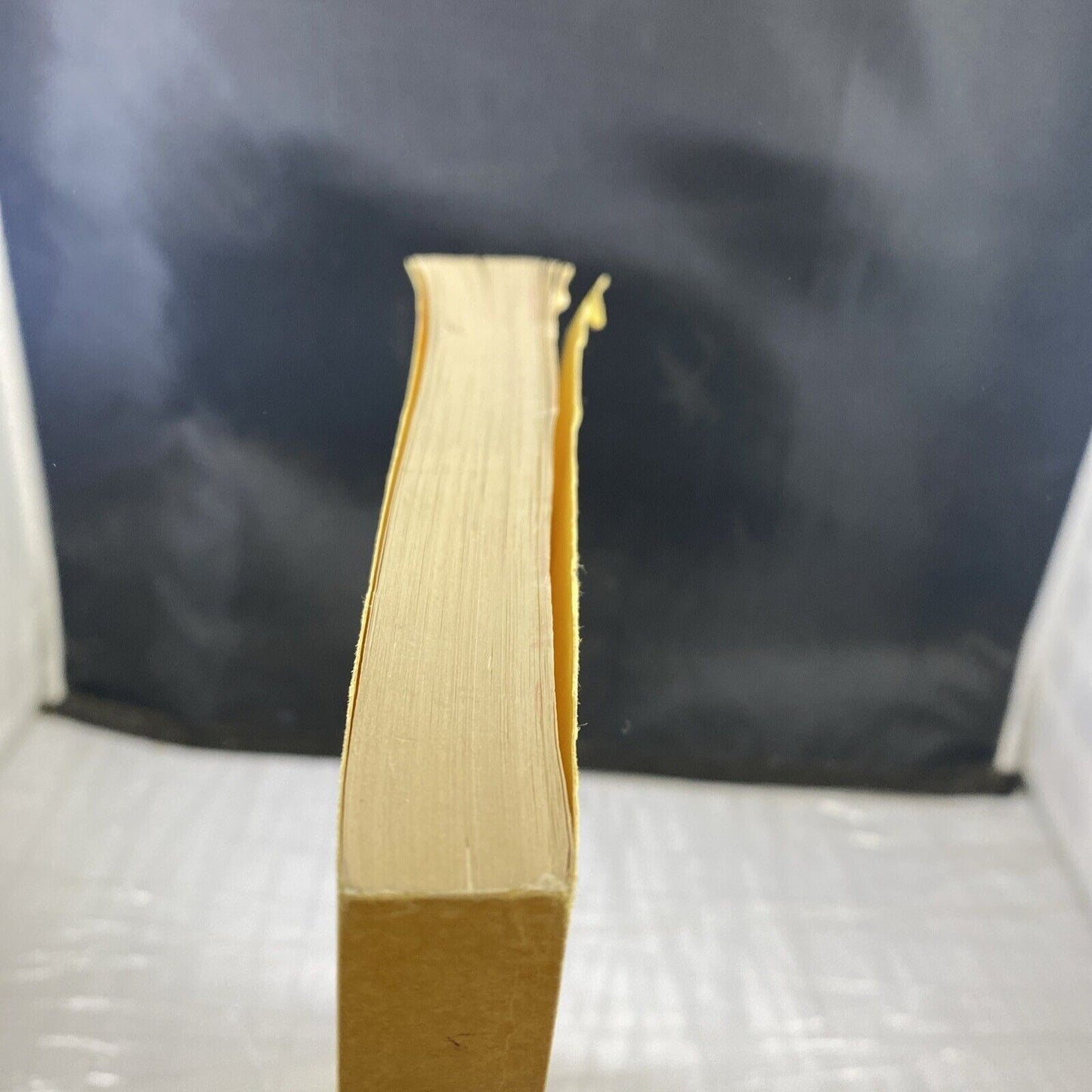 William Holmes Borders When The Bottom Of Your Heart Unique Rare Volume READ DES