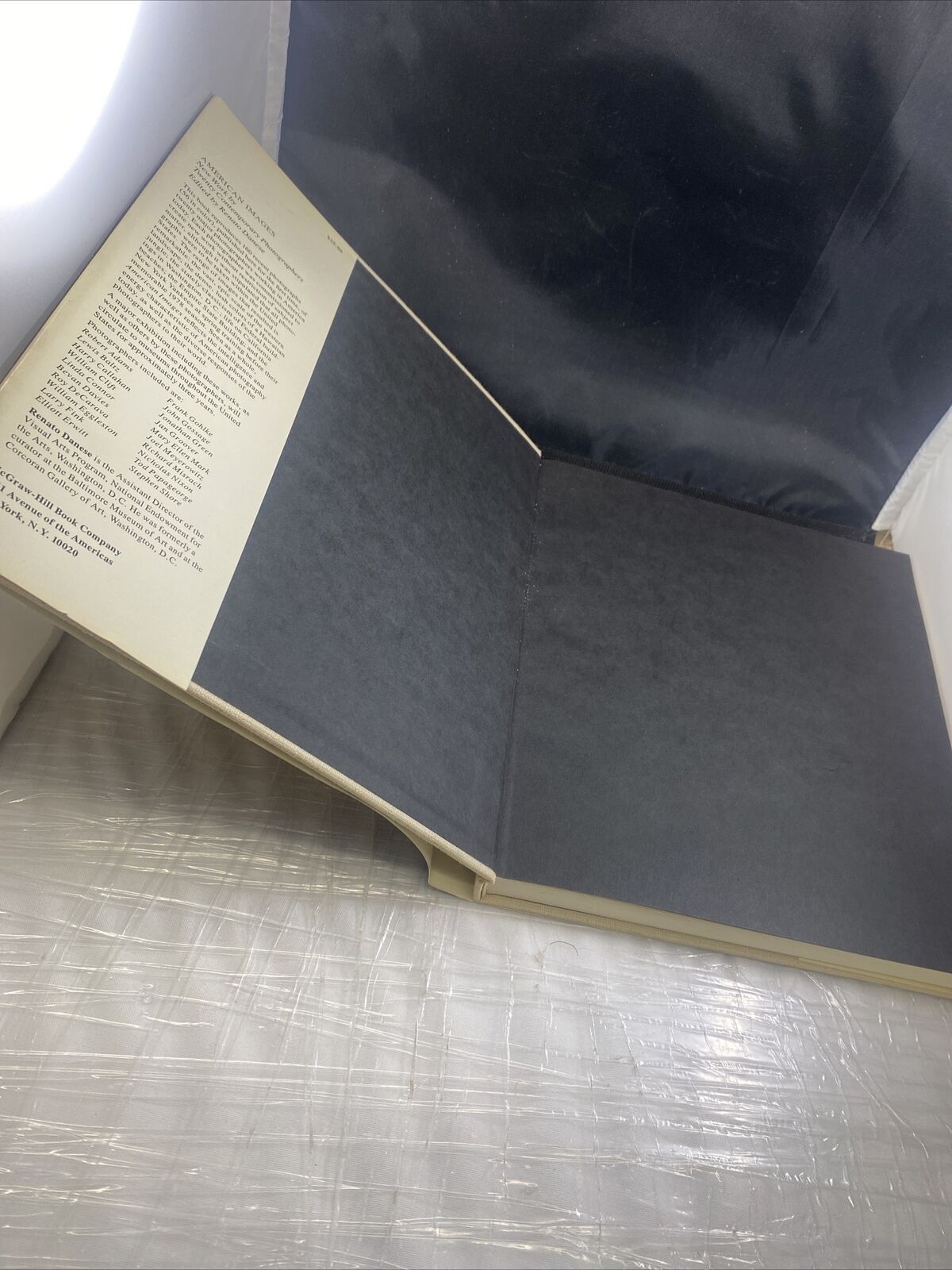 AMERICAN IMAGES by Renato Danese Vintage 70s Photography Textbook McGraw Hill