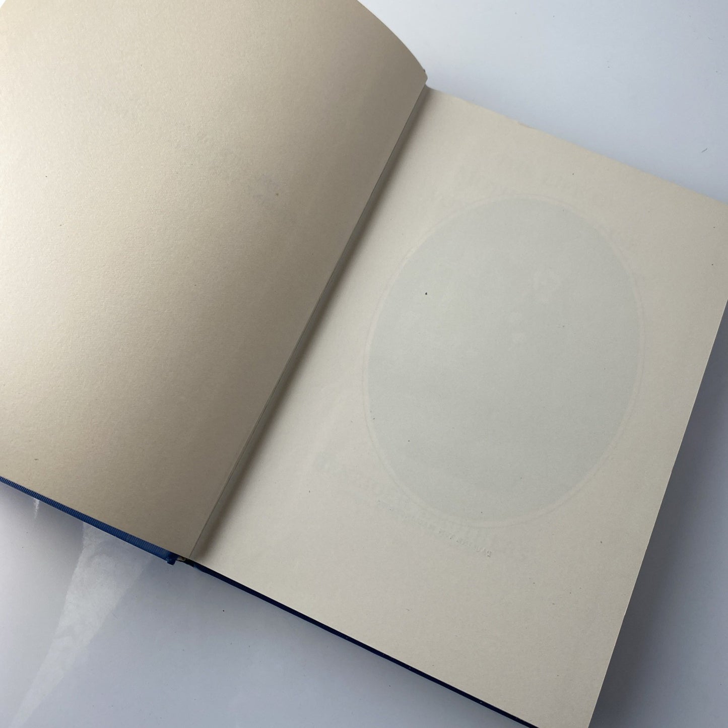 Rare Antique Biography Of A Nun. The Life Of Mother Pauline Von Mallinckrodt