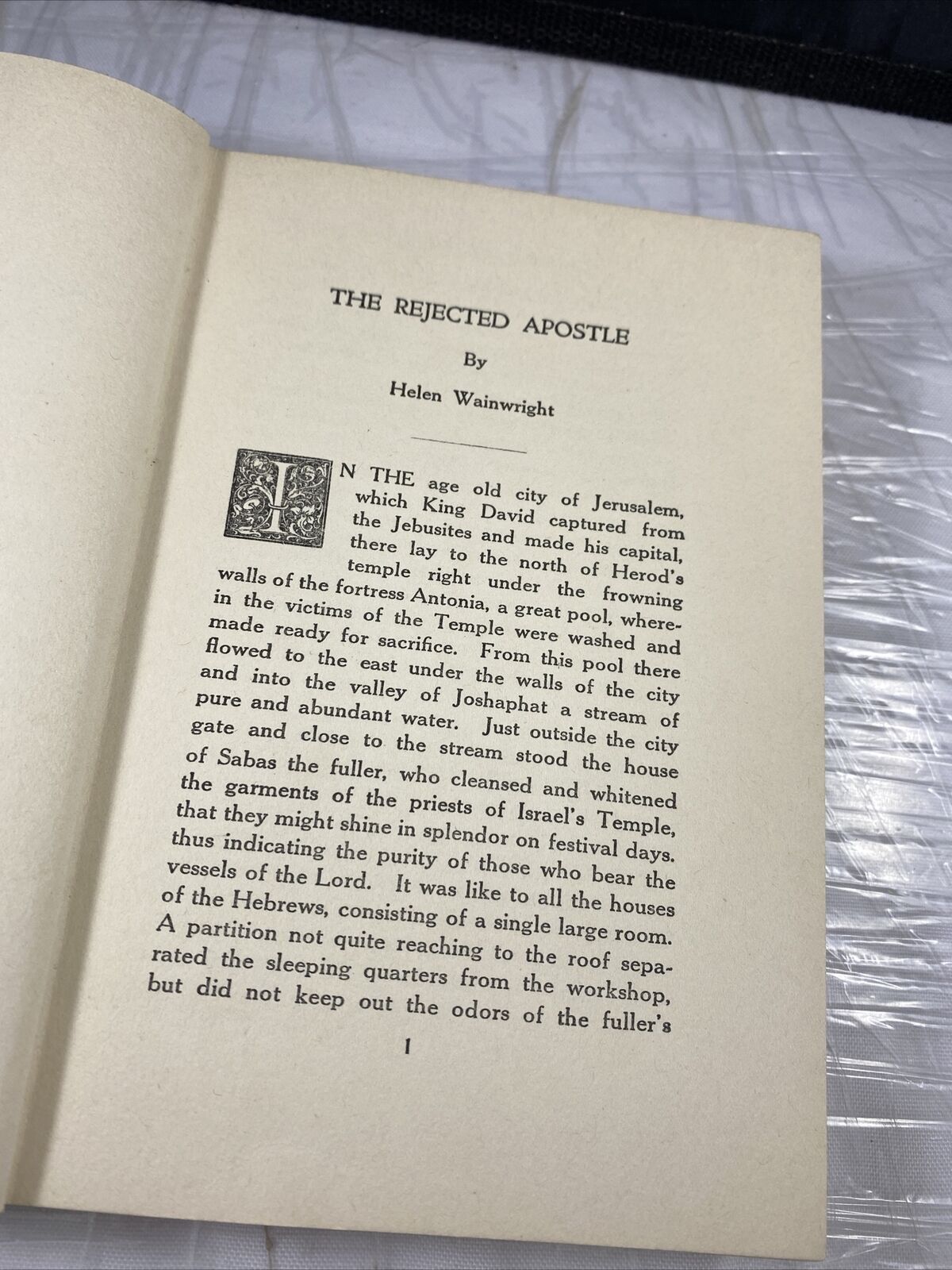 The Rejected Apostle 1924 Christian Bible Short Stories Rare Antique Vincentian