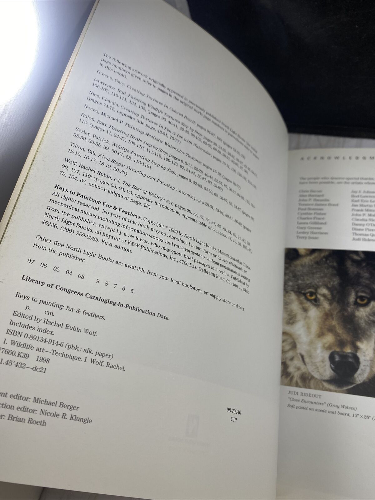 Keys to Painting - Fur & Feathers Vintage Art Book Guide Rachel Rubin Wolf