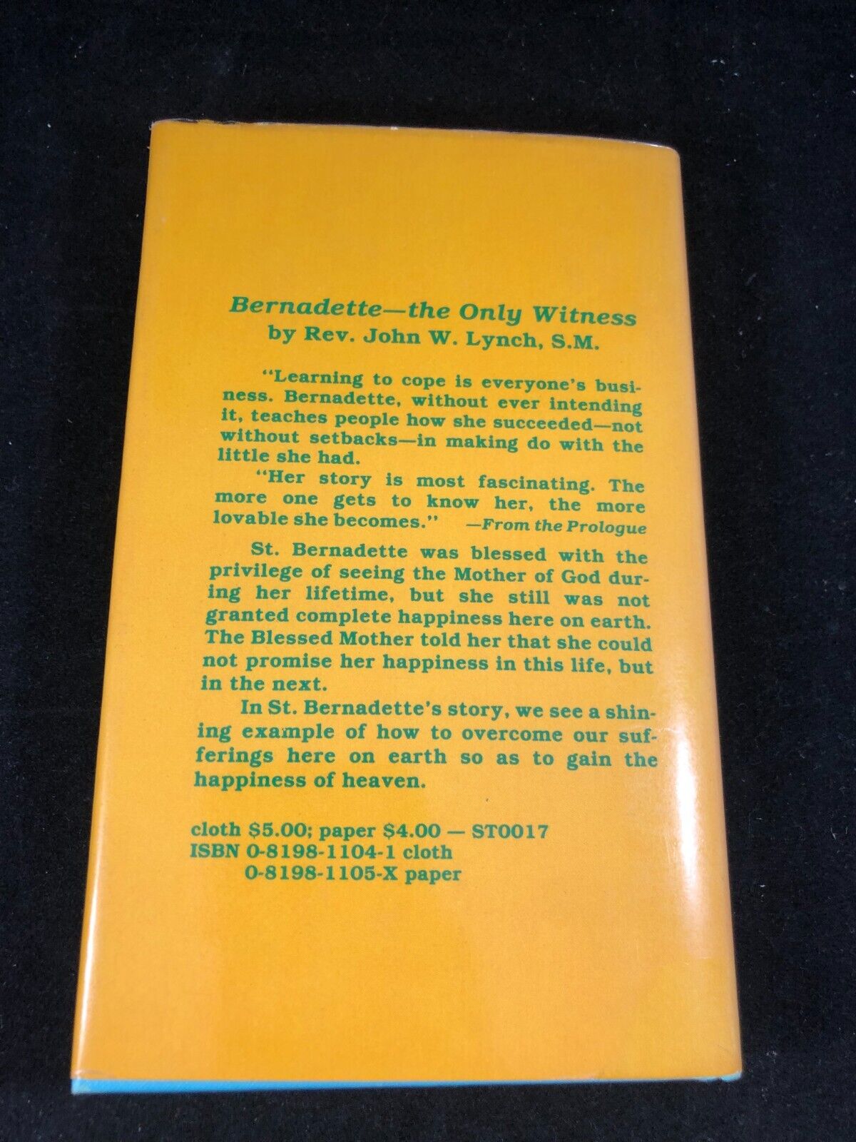Bernadette The Only Witness Rev John Lynch Overcome Suffering on Earth Happiness