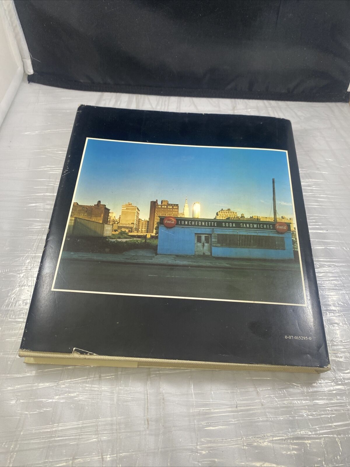 AMERICAN IMAGES by Renato Danese Vintage 70s Photography Textbook McGraw Hill