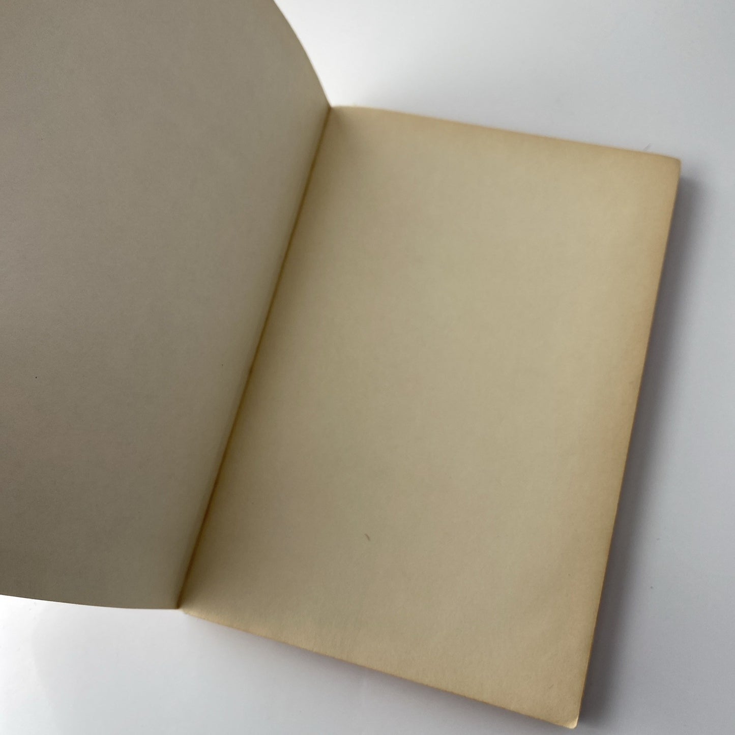 Rare New Testament:Red Letter Edition,The Children's Bible Society of America