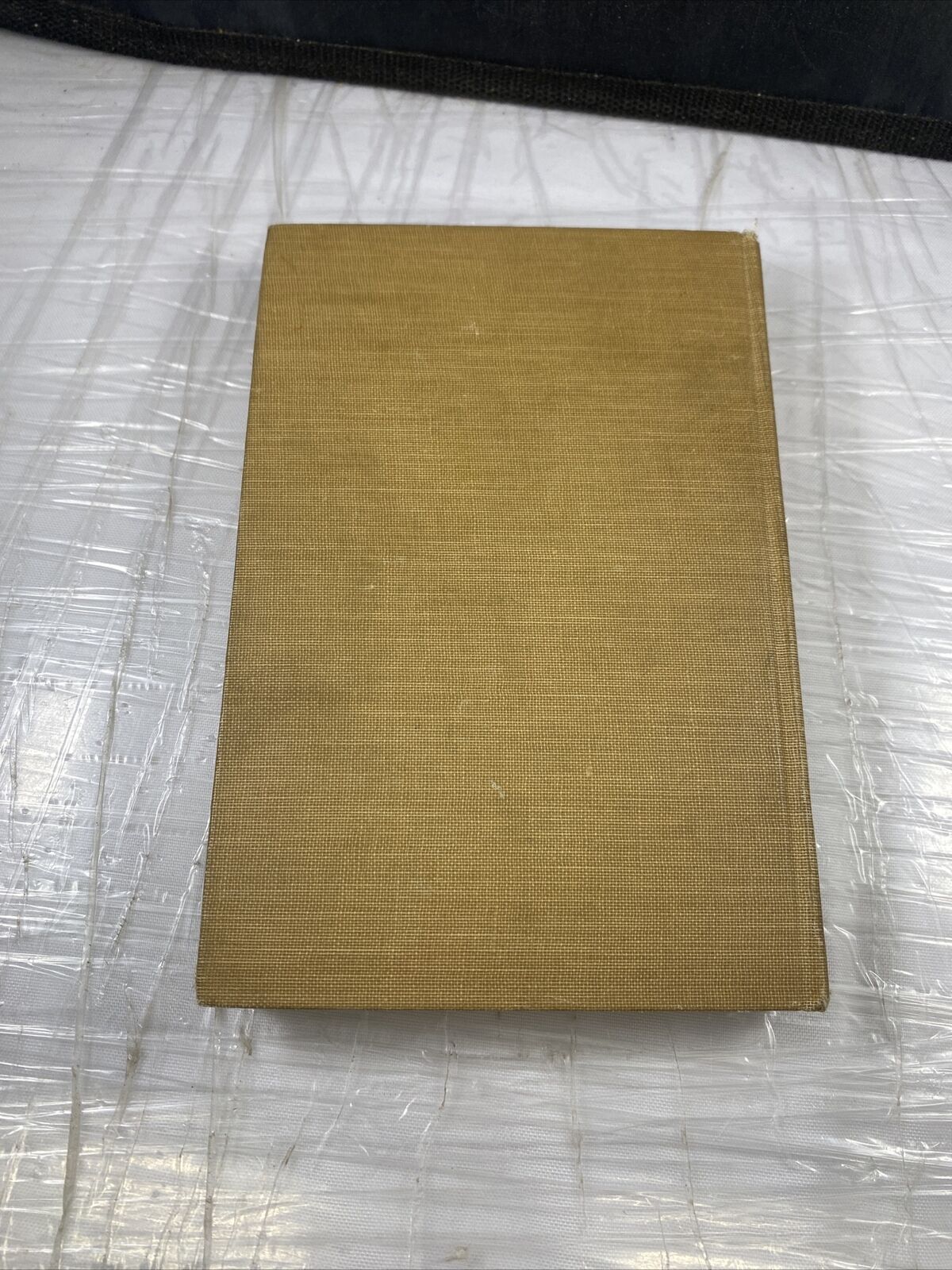 The Rejected Apostle 1924 Christian Bible Short Stories Rare Antique Vincentian
