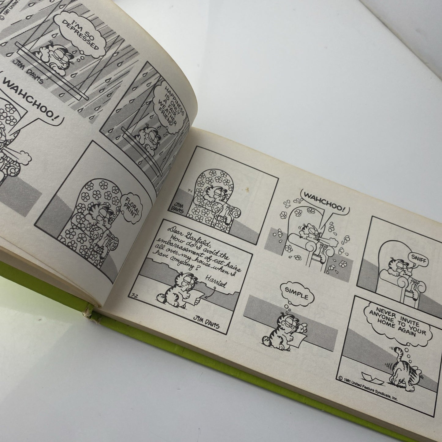 Vintage 70s Garfield Eats His Heart Out: His Sixth Book - Hardcover, Jim Davis