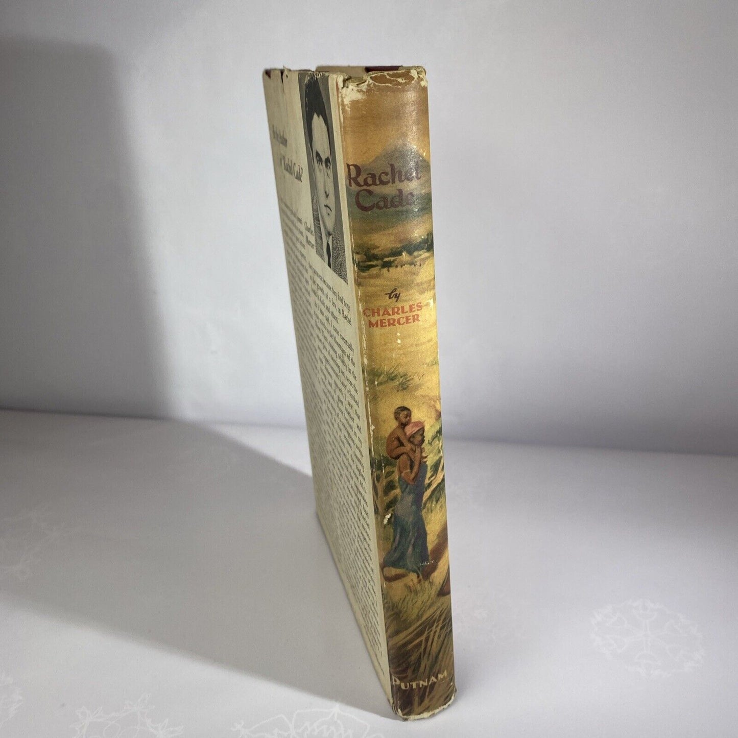 Rachel Cade a Novel by Charles Mercer Vintage Book Club Edition, 1956 Hardcover