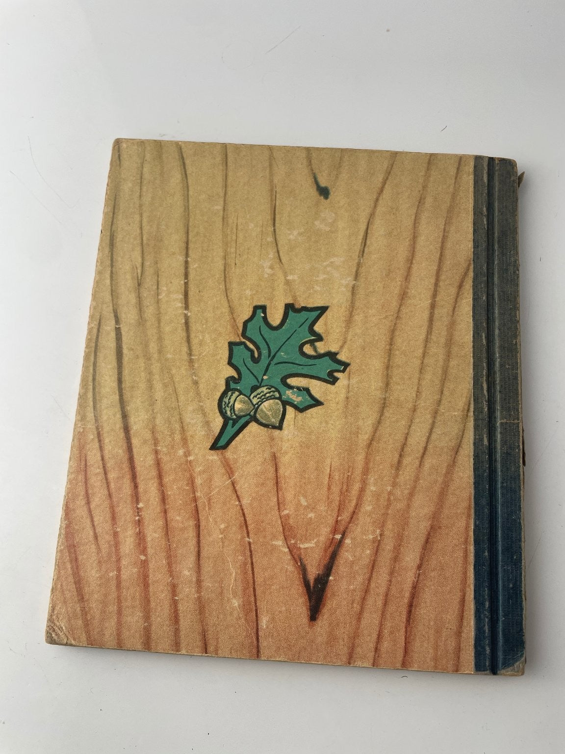 ABC Virginia Paul Kircher 1947 Reprint Sturdibilt Children's Book