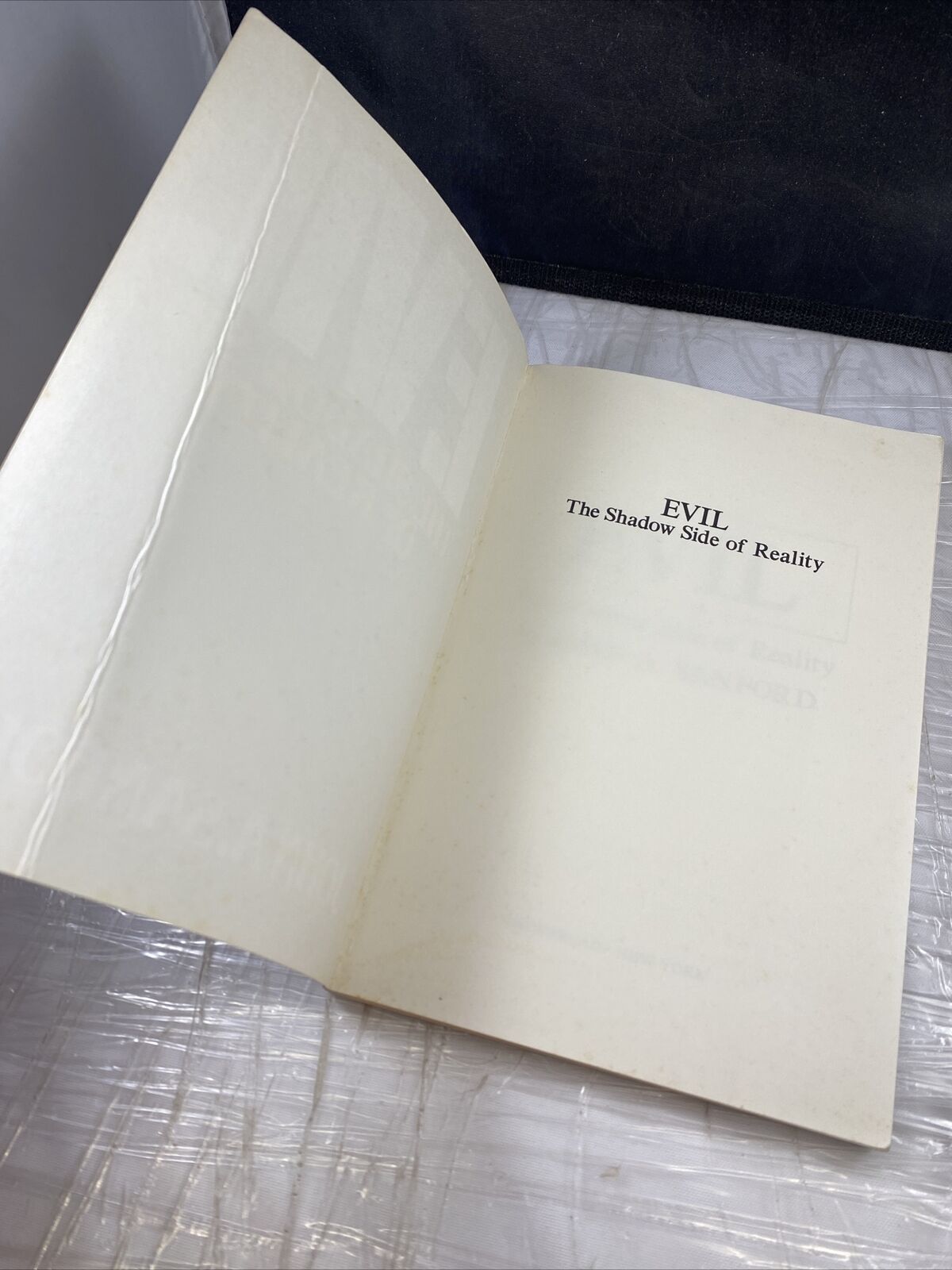Evil: The Shadow Side of Reality John A. Sanford Vintage 90s Spirituality Taboo