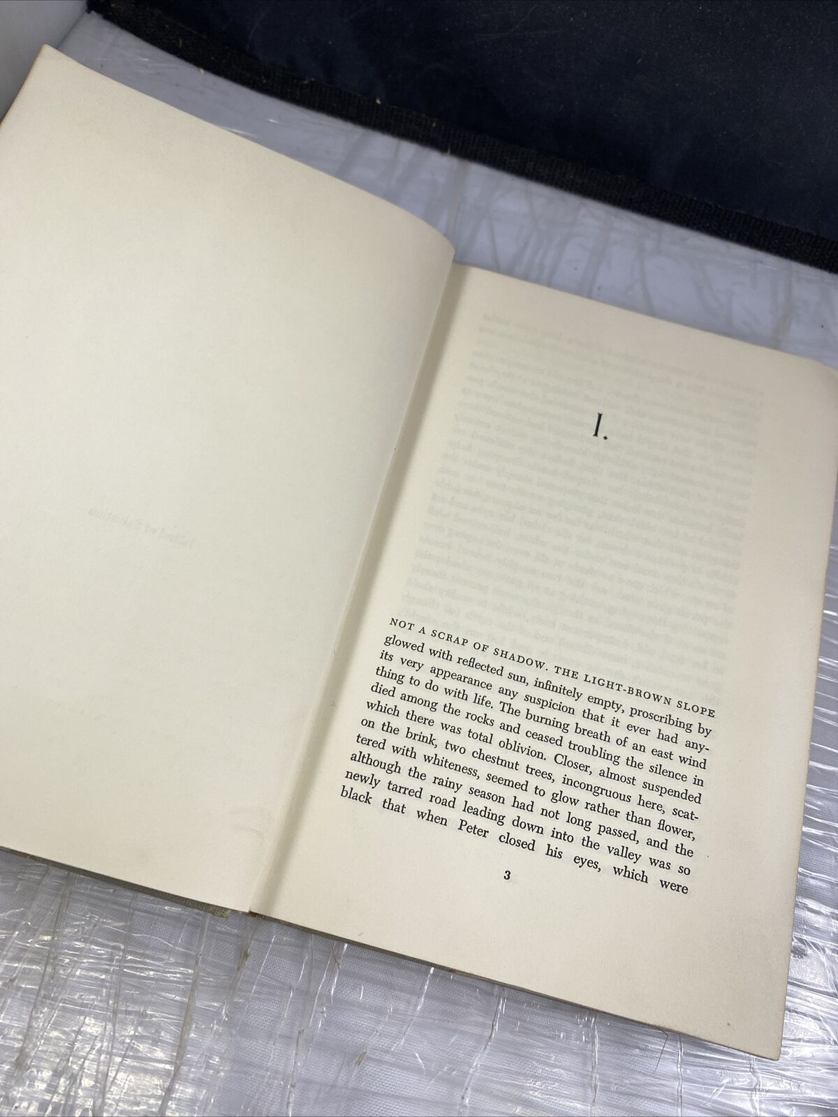 Wlodzimierz Odojewski ISLAND OF SALVATION FIRST EDITION Vintage 60s Rare Novel
