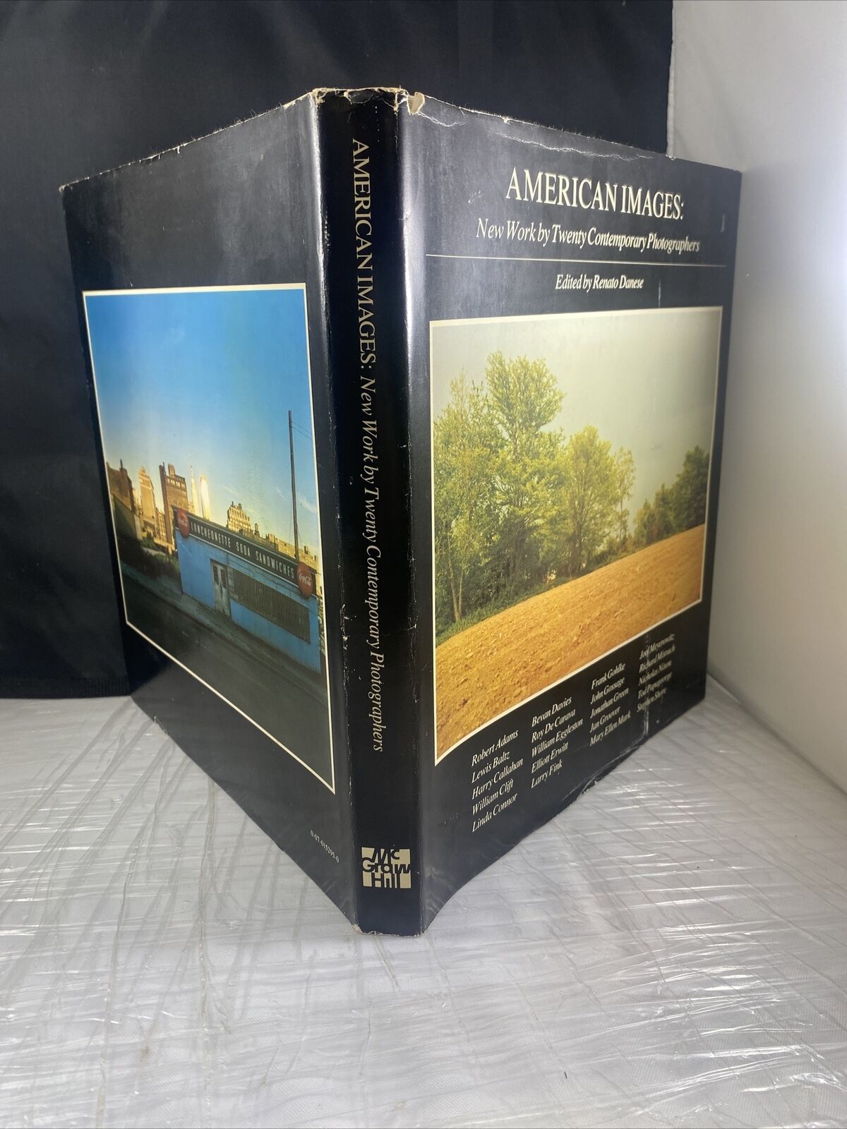 AMERICAN IMAGES by Renato Danese Vintage 70s Photography Textbook McGraw Hill