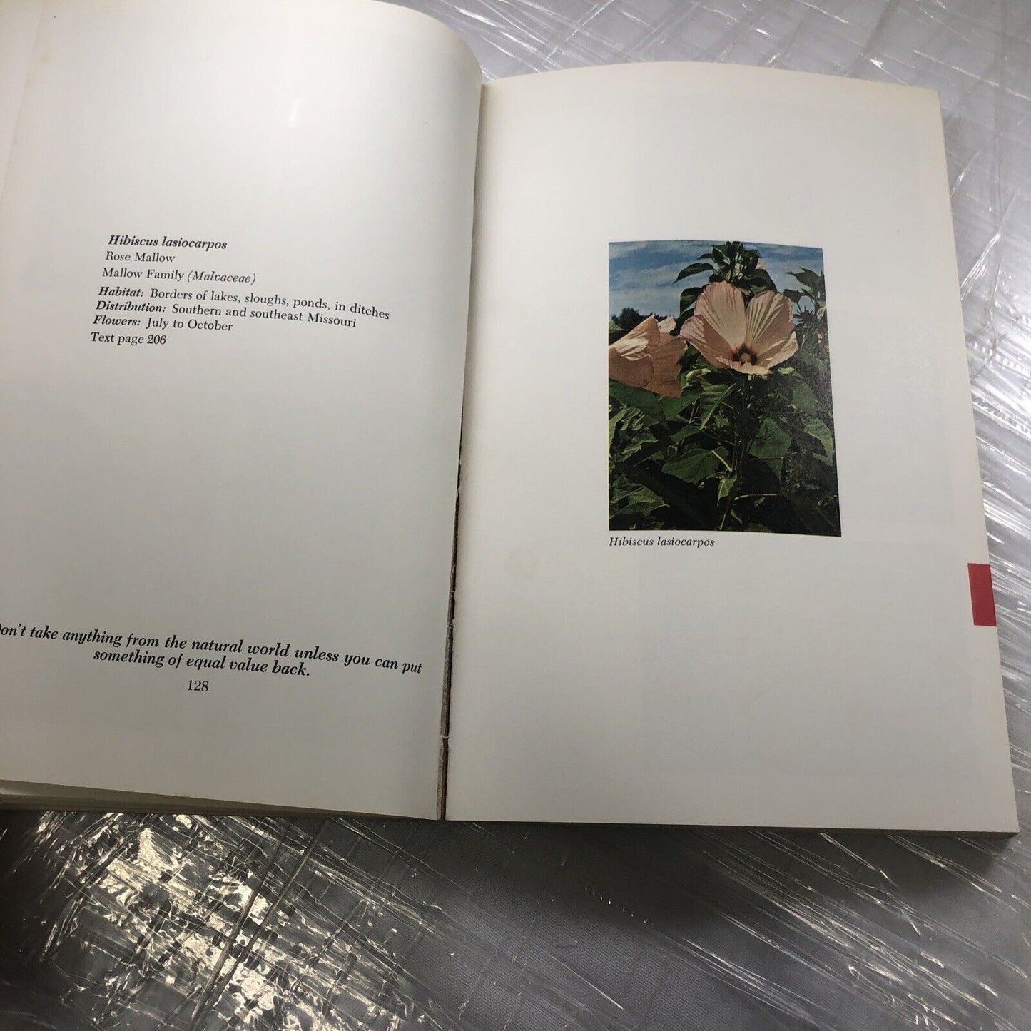 MISSOURI FLOWERS By Edgar Denison ~ 1972 Trade Paperback Flower Identification