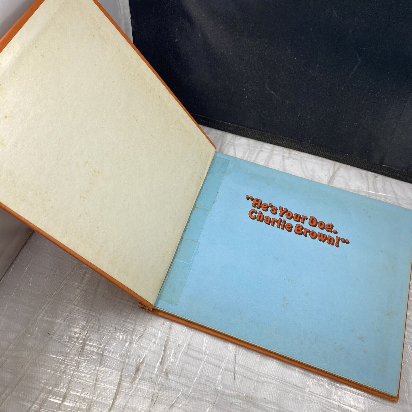 1967 First Edition He's Your Dog, Charlie Brown! Snoopy Charles M Schulz Vintage